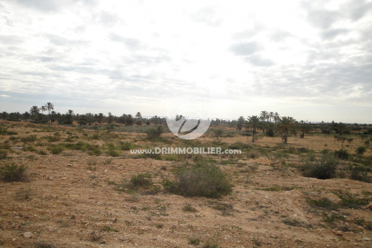 V 057 -   Terrain Djerba